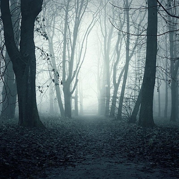 Uncover the ghostly legends and haunting encounters that have been reported at the battlefield.