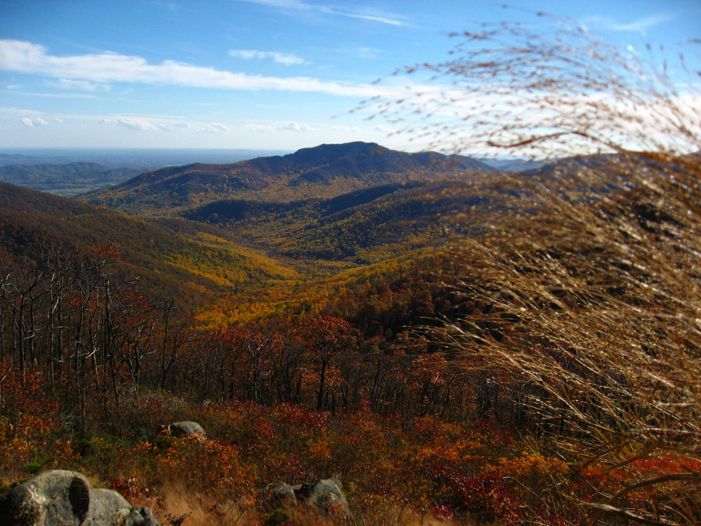Shenandoah National Park near Short Pump — peak fall colors along Skyline Drive.