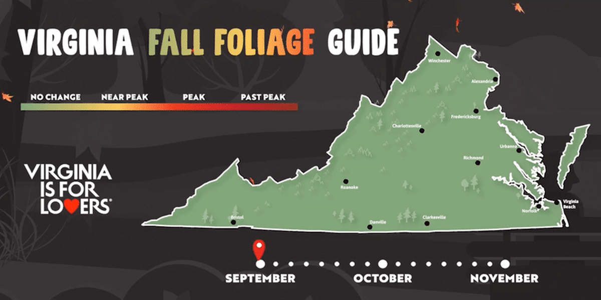 Animated fall foliage — get inspired to explore scenic hikes and drives.