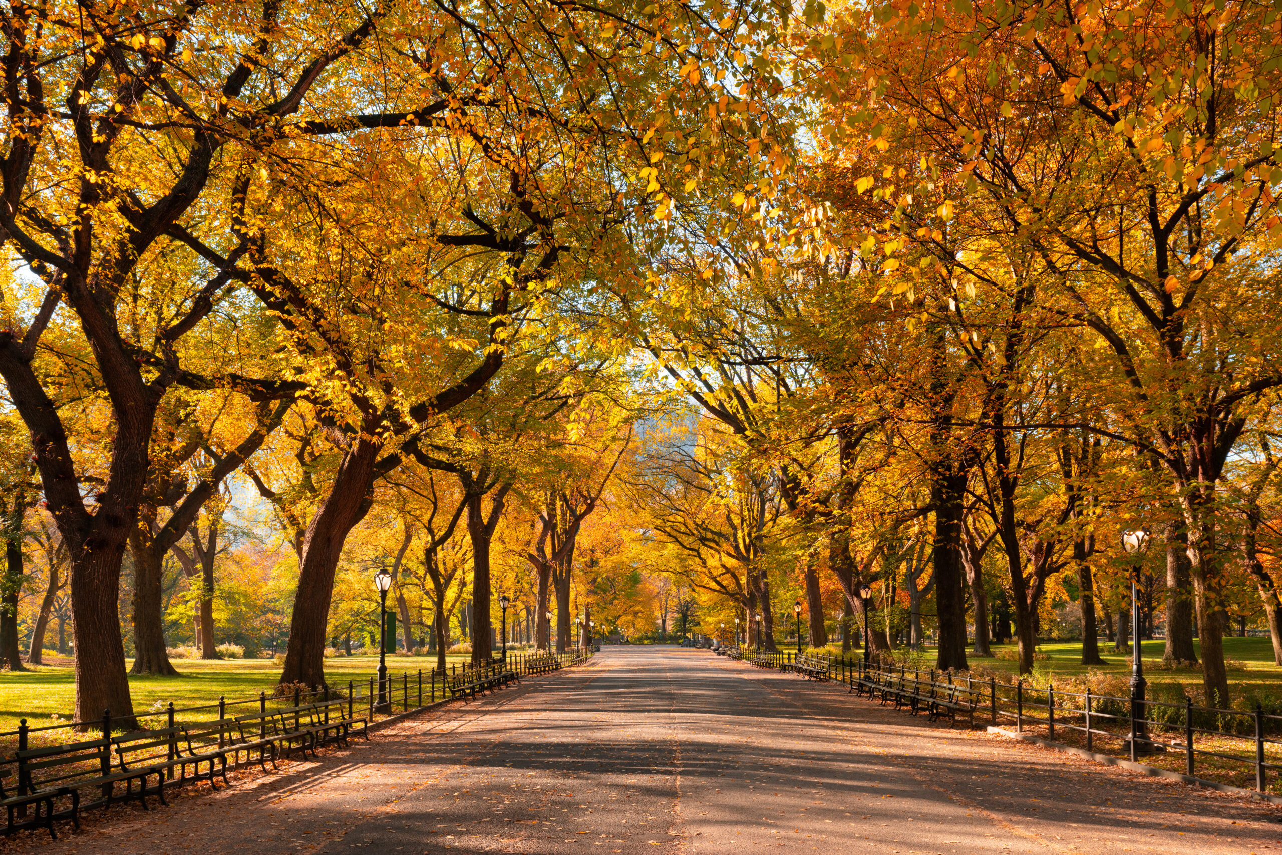 Town-side fall charm — nearby towns and local spots for leaf-peeping near Short Pump.
