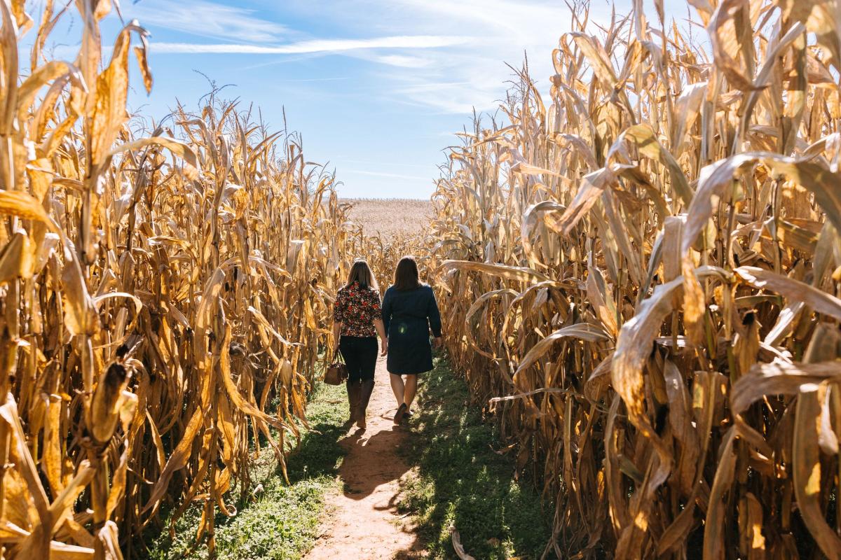 A sprawling corn maze and pumpkin patch setting — the perfect start to Short Pump’s fall season.