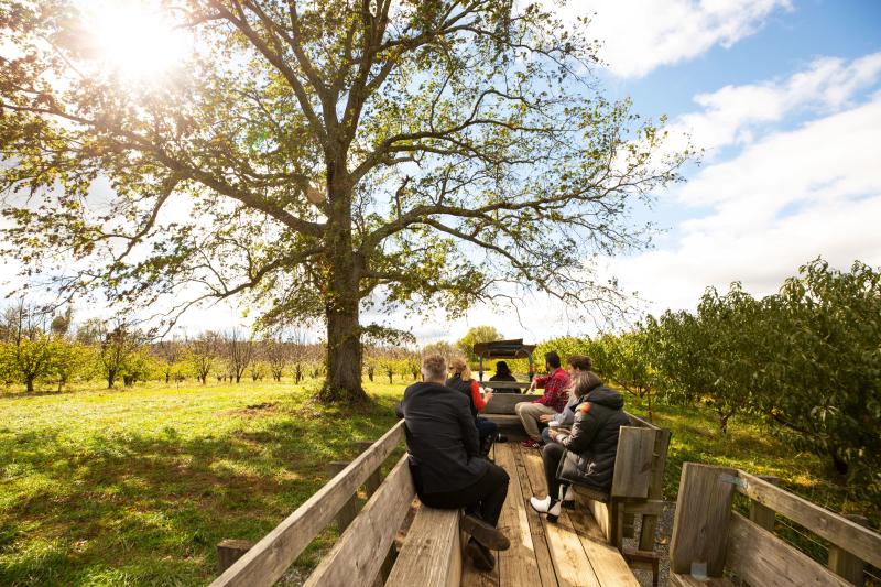 Family-friendly activities at a community farm — hayrides, pumpkins, and fall fun.